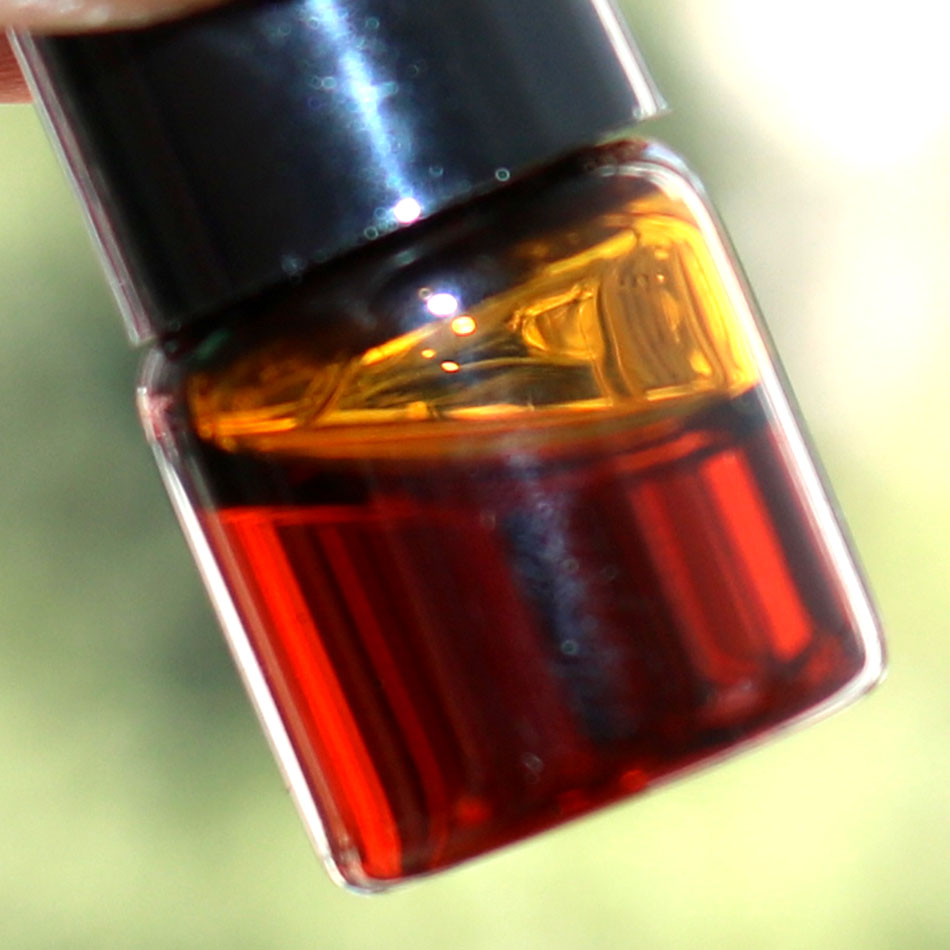 1ml/bottle Authentic Natural C - Sandalwood Perfume Oil 评论和价格