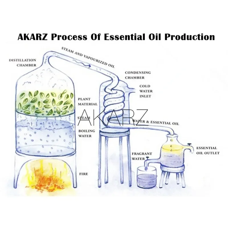 AKARZ Unique Rare Essential Oi - Sandalwood Perfume Oil 评论和价格